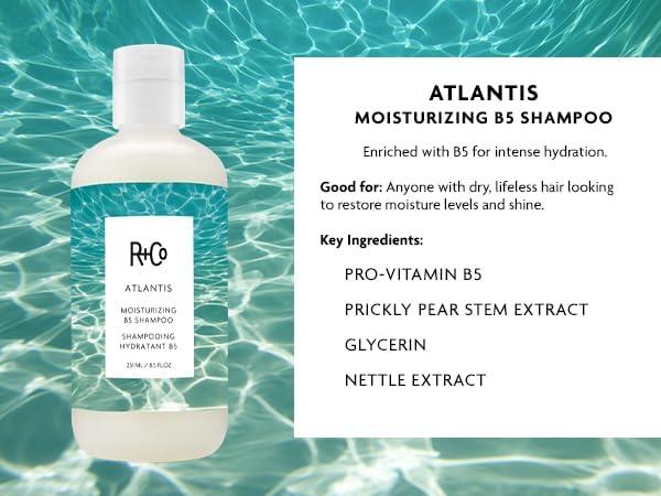 R+Co Cassette Curl Defining Shampoo and Conditioner Liter Set – Lightweight Curl Definition & Frizz Control for Natural, Bouncy Curls – Adds Shine & Moisture – Sulfate-Free & Vegan – 33.8oz(Pack of 2)(Atlantis – Dry Damaged Hair)