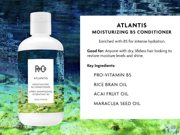 R+Co Cassette Curl Defining Shampoo and Conditioner Liter Set – Lightweight Curl Definition & Frizz Control for Natural, Bouncy Curls – Adds Shine & Moisture – Sulfate-Free & Vegan – 33.8oz(Pack of 2)(Atlantis – Dry Damaged Hair)