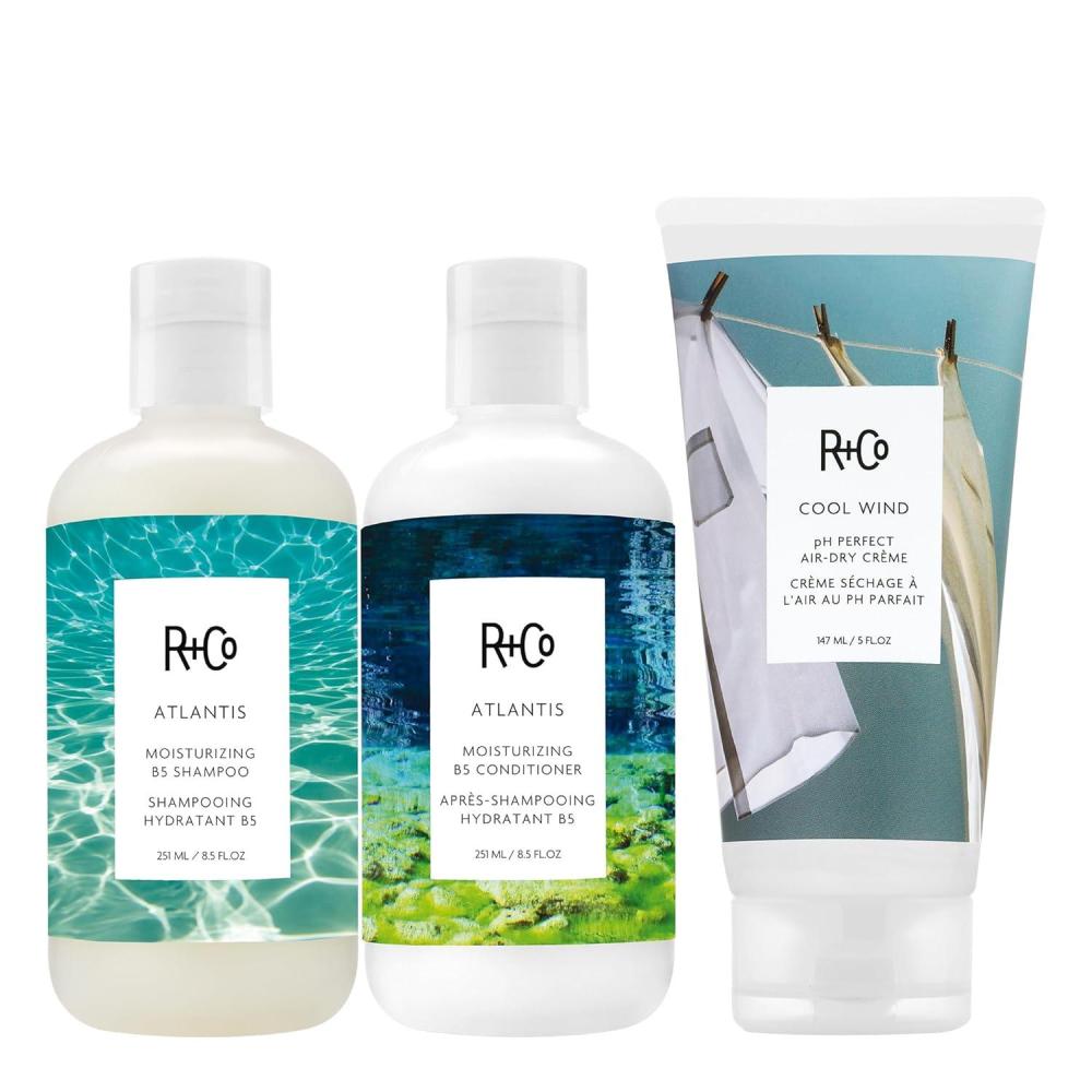 R+Co Atlantis Moisturizing B5 Shampoo | Shine + Tames Frizz + Intense Hydration | Vegan + Cruelty-Free |Vegan + Cruelty-Free| 8.5 Fl Oz(Hydration  Frizz Control & Effortless Styling Bundle)