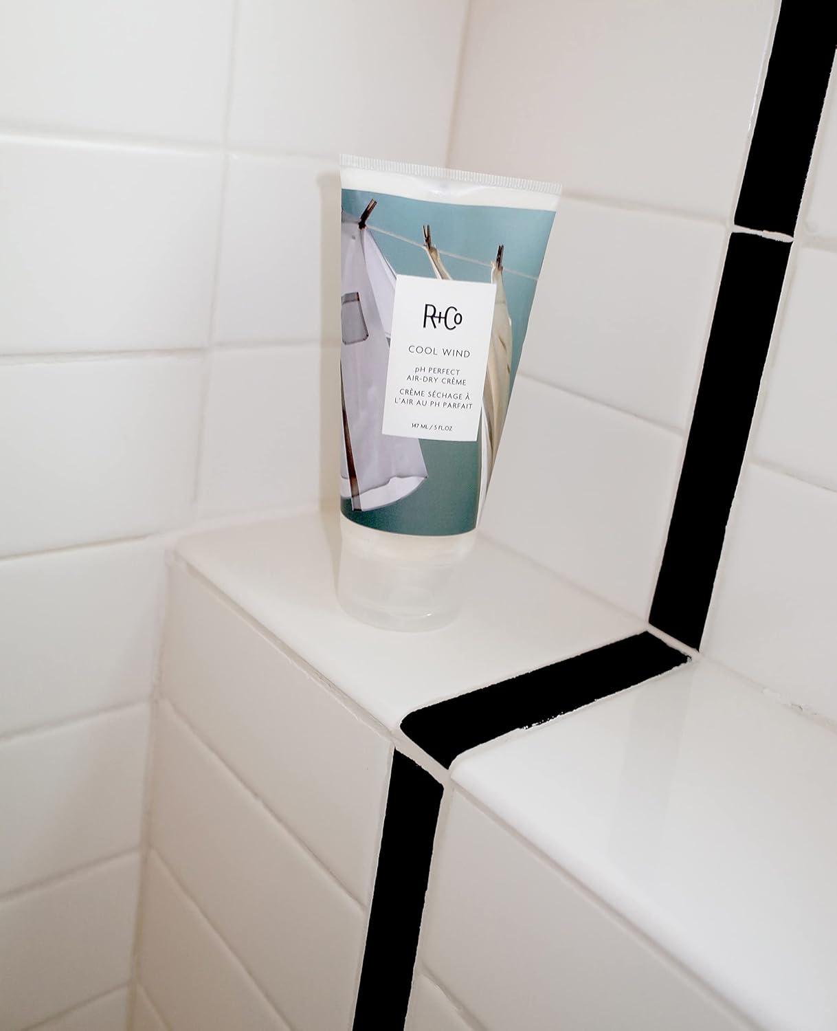 R+Co Cool Wind pH Perfect Air Dry Hair Cream | Hydrates + Tames + Softens | Vegan + Cruelty-Free |(5.5 Fl Oz (Pack of 2))