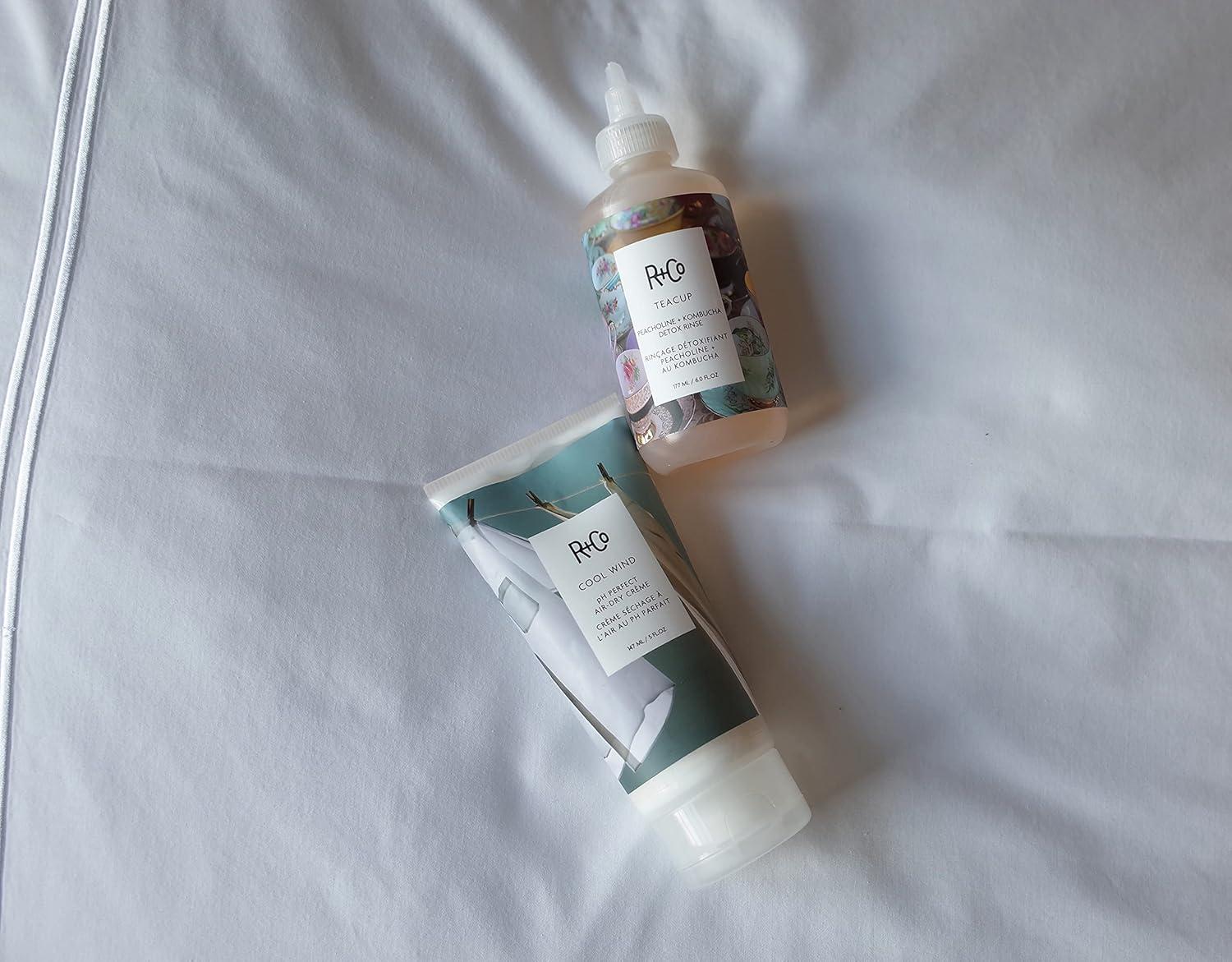 R+Co Cool Wind pH Perfect Air Dry Hair Cream | Hydrates + Tames + Softens | Vegan + Cruelty-Free |(5.5 Fl Oz (Pack of 2))