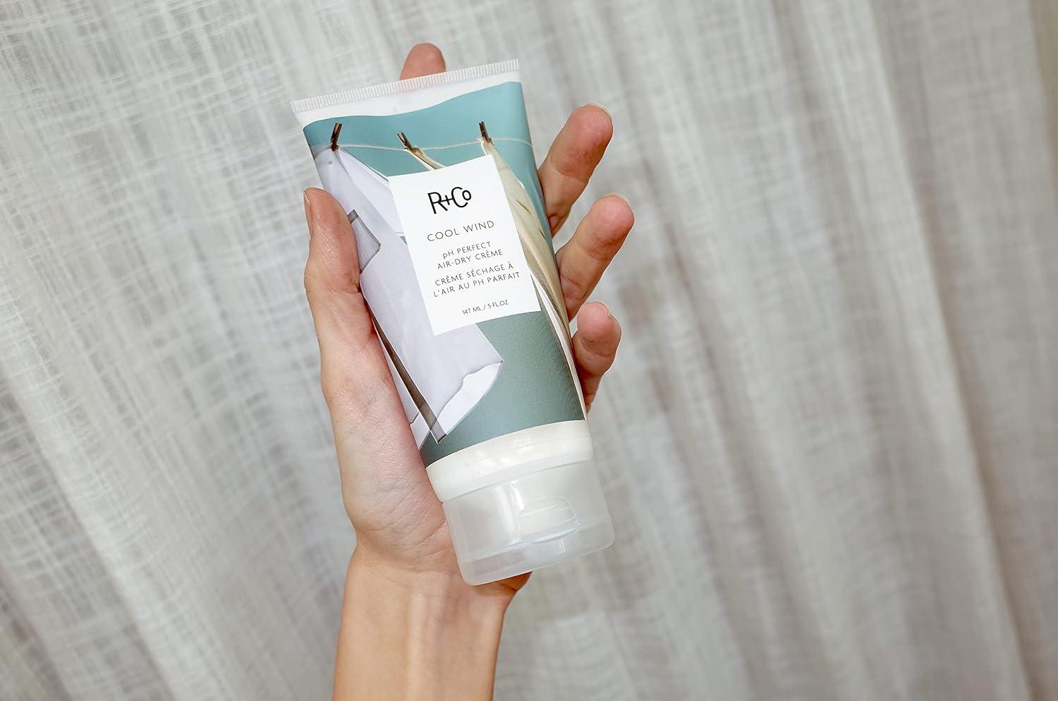 R+Co Cool Wind pH Perfect Air Dry Hair Cream | Hydrates + Tames + Softens | Vegan + Cruelty-Free |(5.5 Fl Oz (Pack of 2))