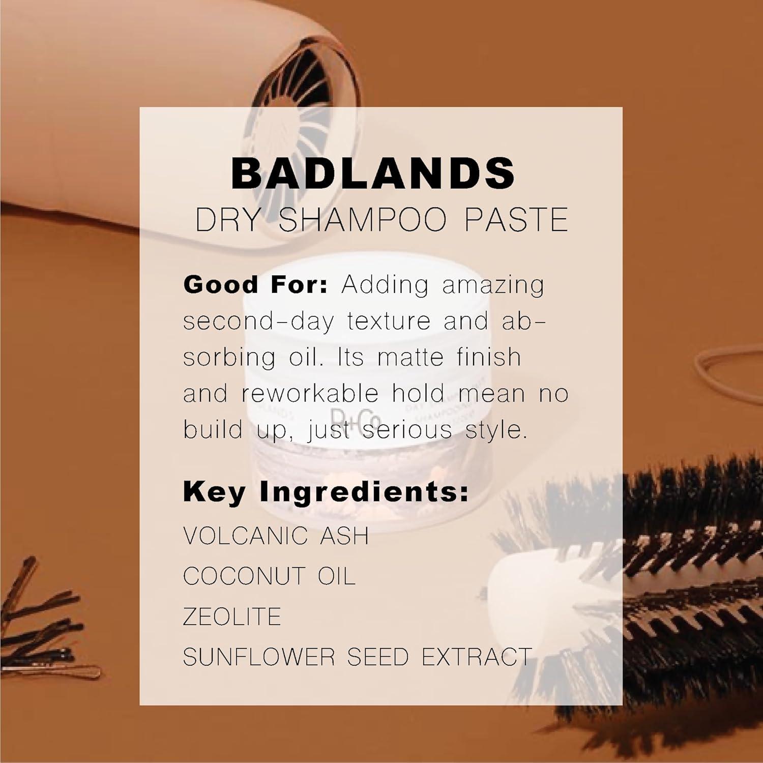 R+Co Badlands Dry Shampoo Paste | Part Dry Shampoo, Part Styling Paste | Adds Texture, Absorbs Oil, Matte Finish(2.2 Ounce (Pack of 2))