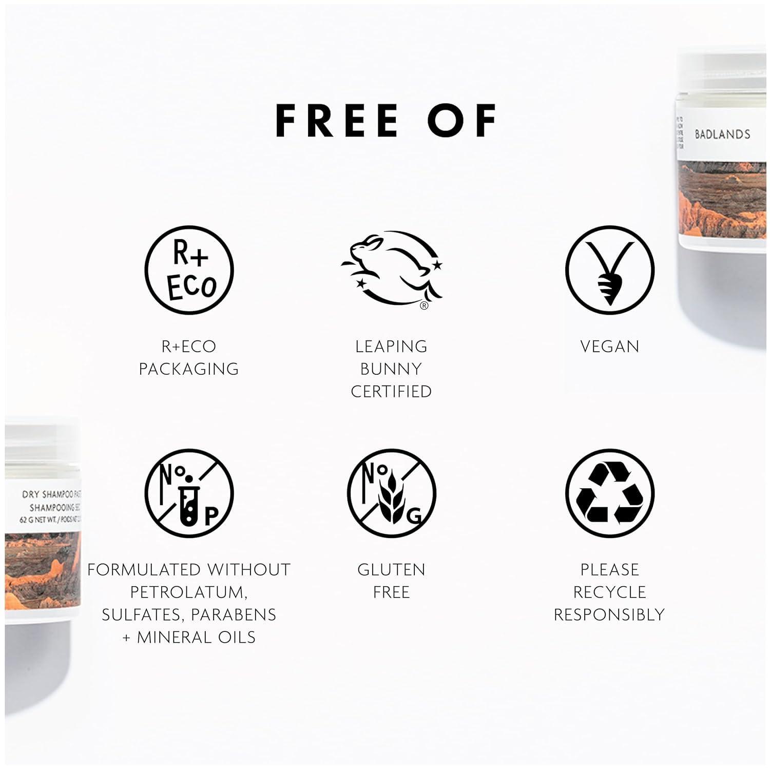 R+Co Badlands Dry Shampoo Paste | Part Dry Shampoo, Part Styling Paste | Adds Texture, Absorbs Oil, Matte Finish(2.2 Ounce (Pack of 2))