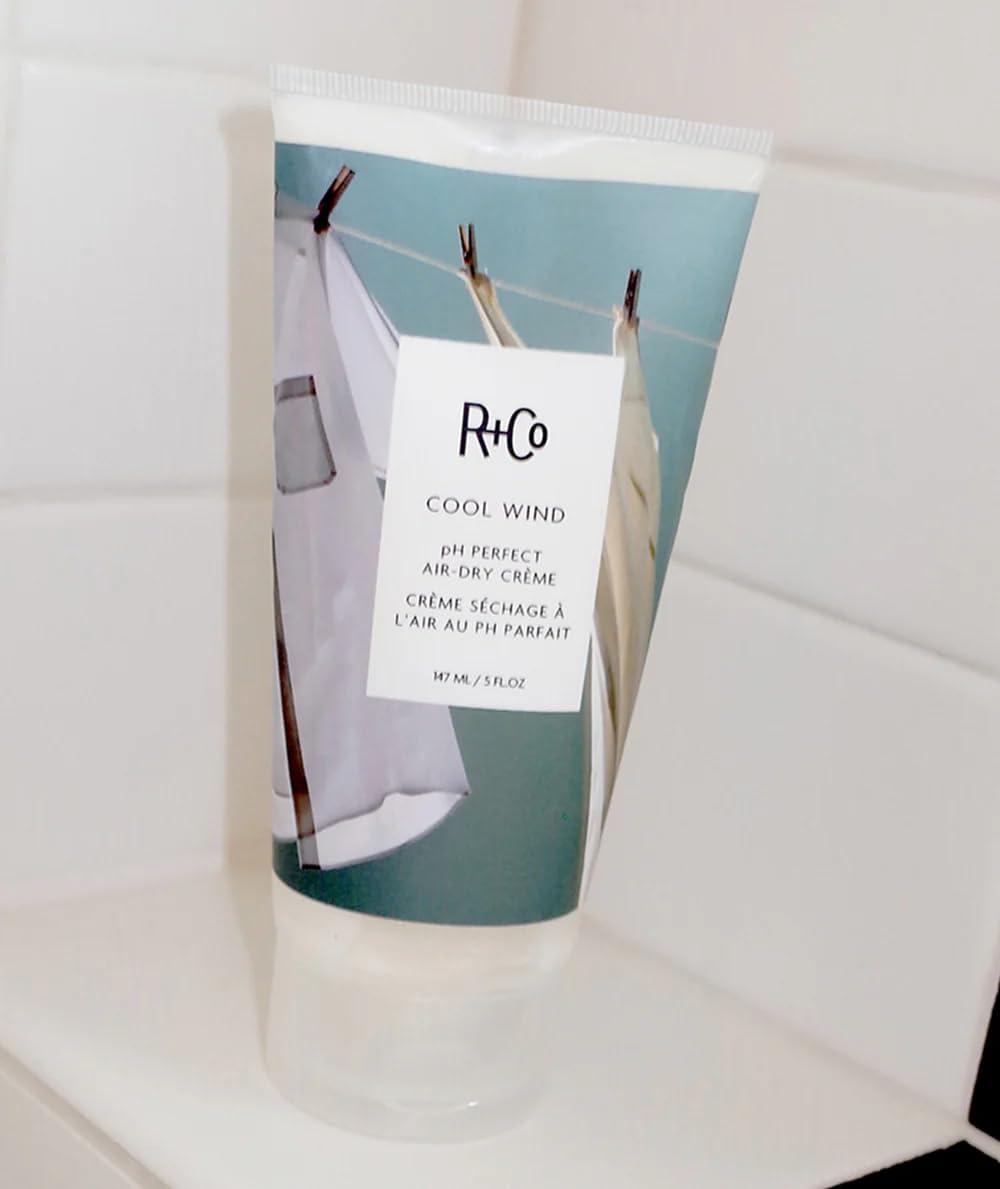 R+Co Cool Wind pH Perfect Air Dry Hair Cream | Hydrates + Tames + Softens | Vegan + Cruelty-Free |(5 Fl Oz + 0.5 Fl Oz (Pack of 2))