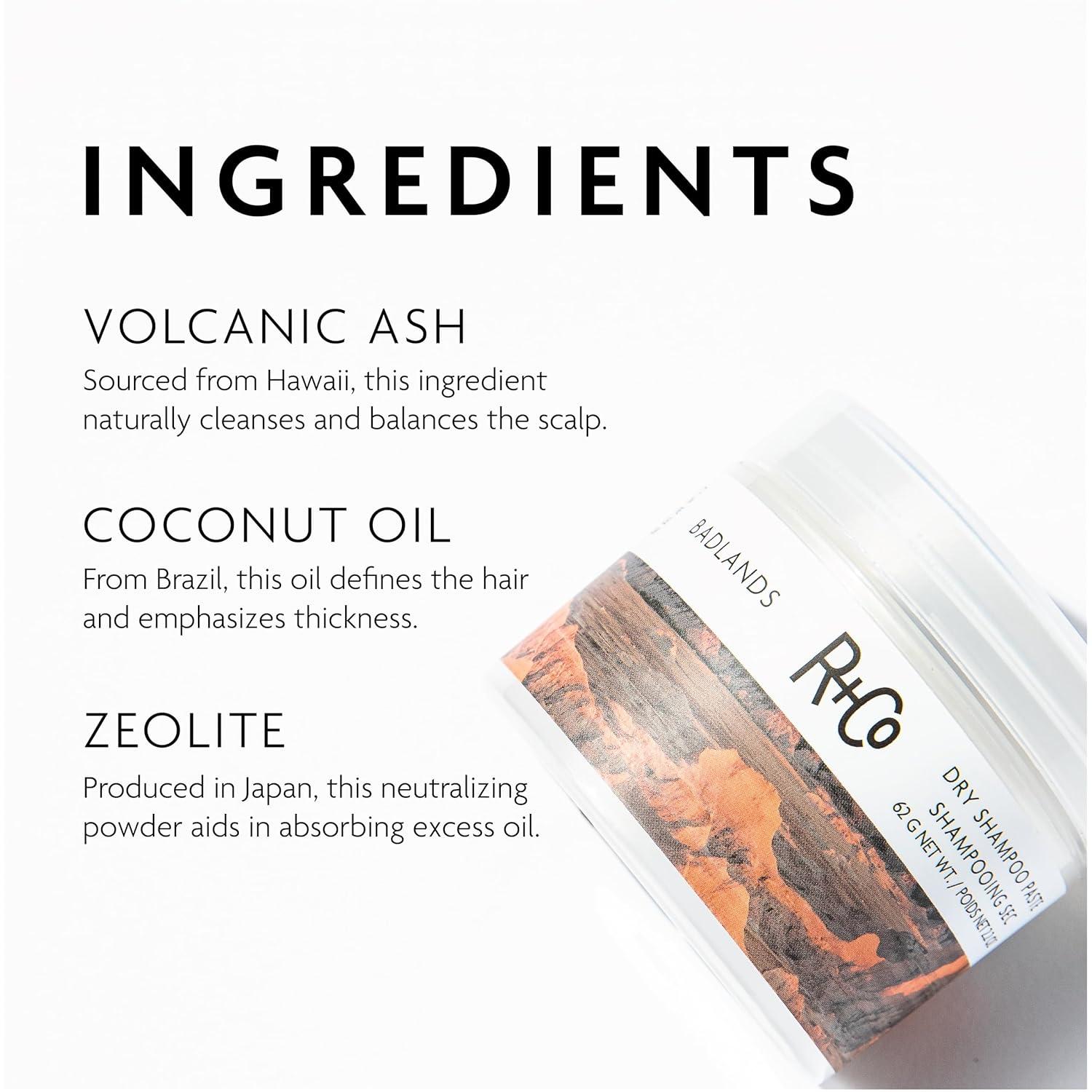 R+Co Badlands Dry Shampoo Paste | Part Dry Shampoo, Part Styling Paste | Adds Texture, Absorbs Oil, Matte Finish(2.2. Ounce (Pack of 1))
