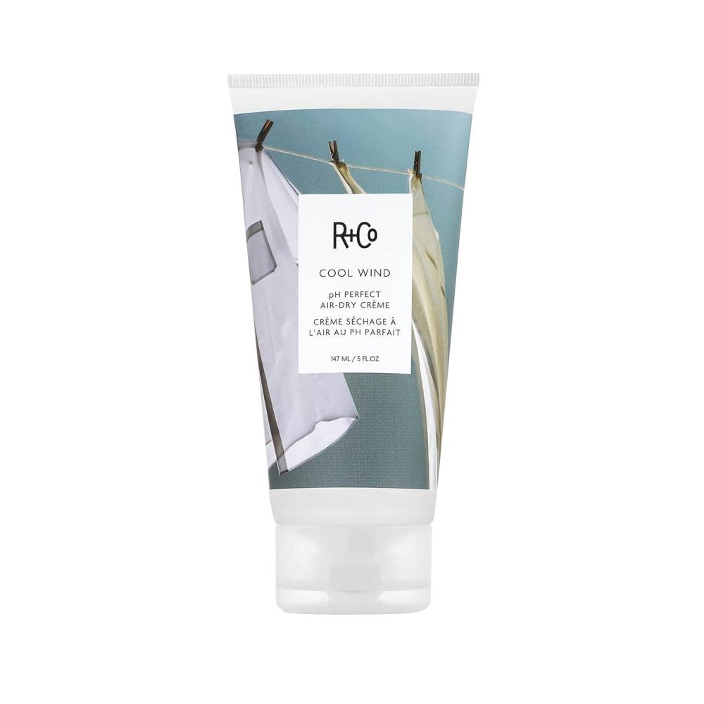 R+Co Cool Wind pH Perfect Air Dry Hair Cream | Hydrates + Tames + Softens | Vegan + Cruelty-Free |(5.5 Fl Oz (Pack of 1))