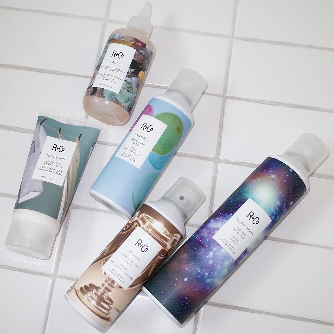 R+Co Cool Wind pH Perfect Air Dry Hair Cream | Hydrates + Tames + Softens | Vegan + Cruelty-Free |(5.5 Fl Oz (Pack of 1))
