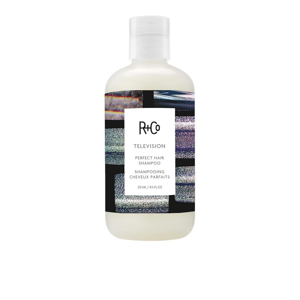 R+Co TELEVISION Perfect Hair Shampoo – Hydrating & Smoothing Hair Cleanser, Adds Shine & Softness, All Hair Types(8.5 Ounce)