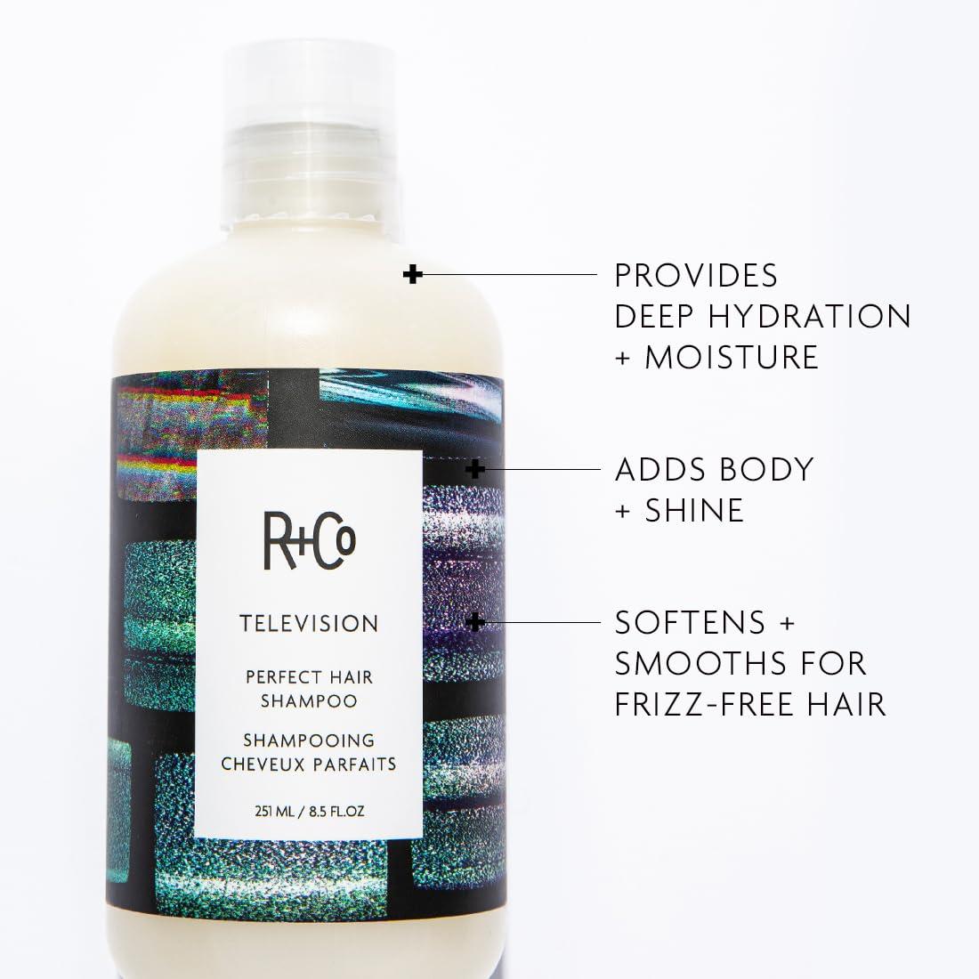 R+Co TELEVISION Perfect Hair Shampoo – Hydrating & Smoothing Hair Cleanser, Adds Shine & Softness, All Hair Types(8.5 Ounce)