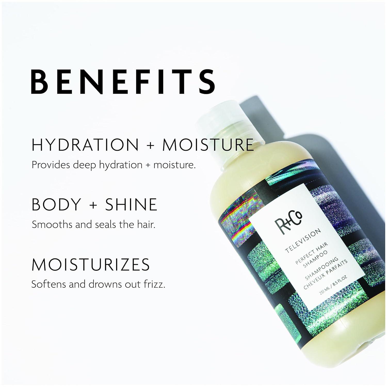 R+Co TELEVISION Perfect Hair Shampoo – Hydrating & Smoothing Hair Cleanser, Adds Shine & Softness, All Hair Types(8.5 Ounce)