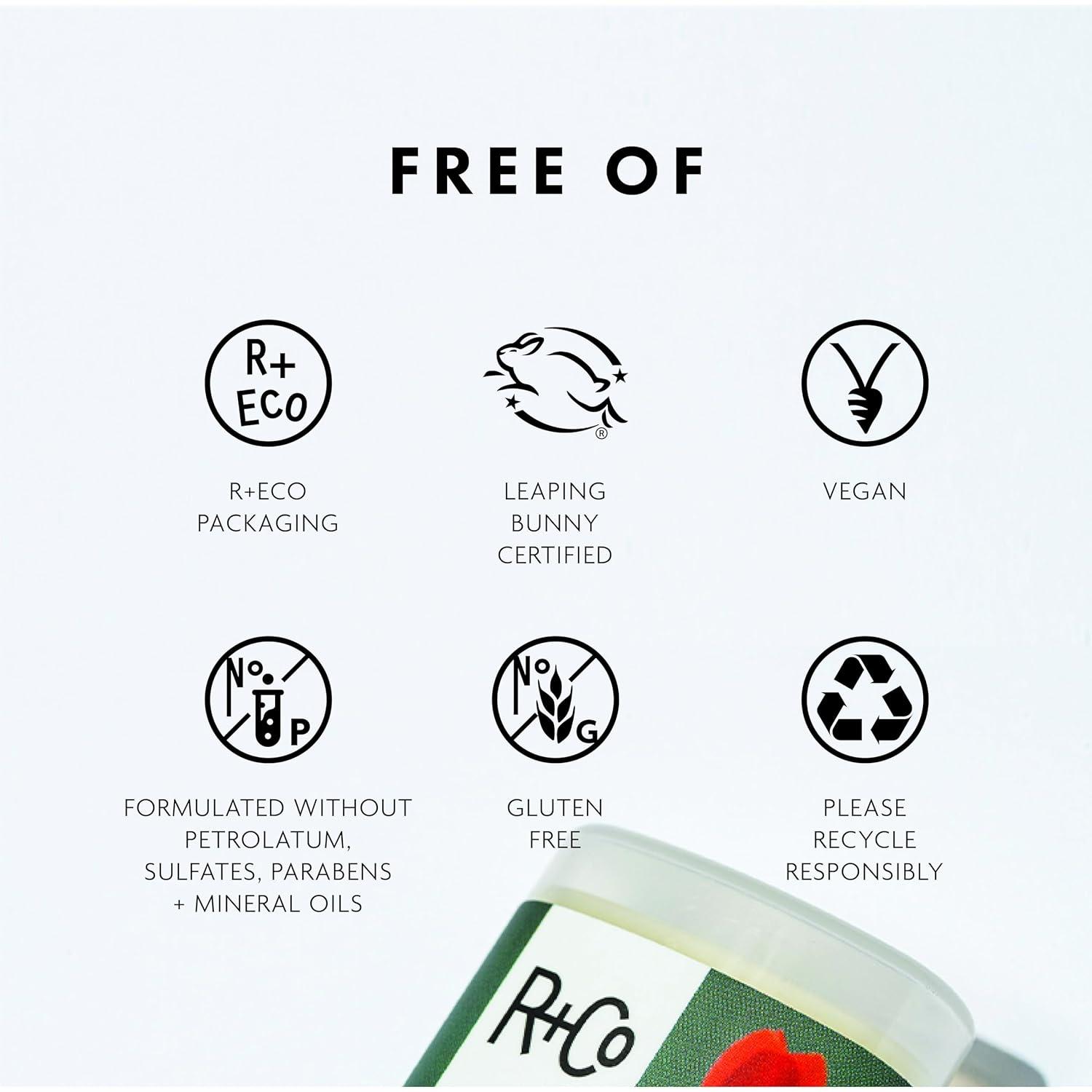 R+Co Dart Hair Wax Stick | Tame Flyaways, Sculpt & Polish | Long-Lasting Texture | Vegan + No Parabens | 0.5 Ounce (Pack of 1)(0.5 Ounce (Pack of 1))