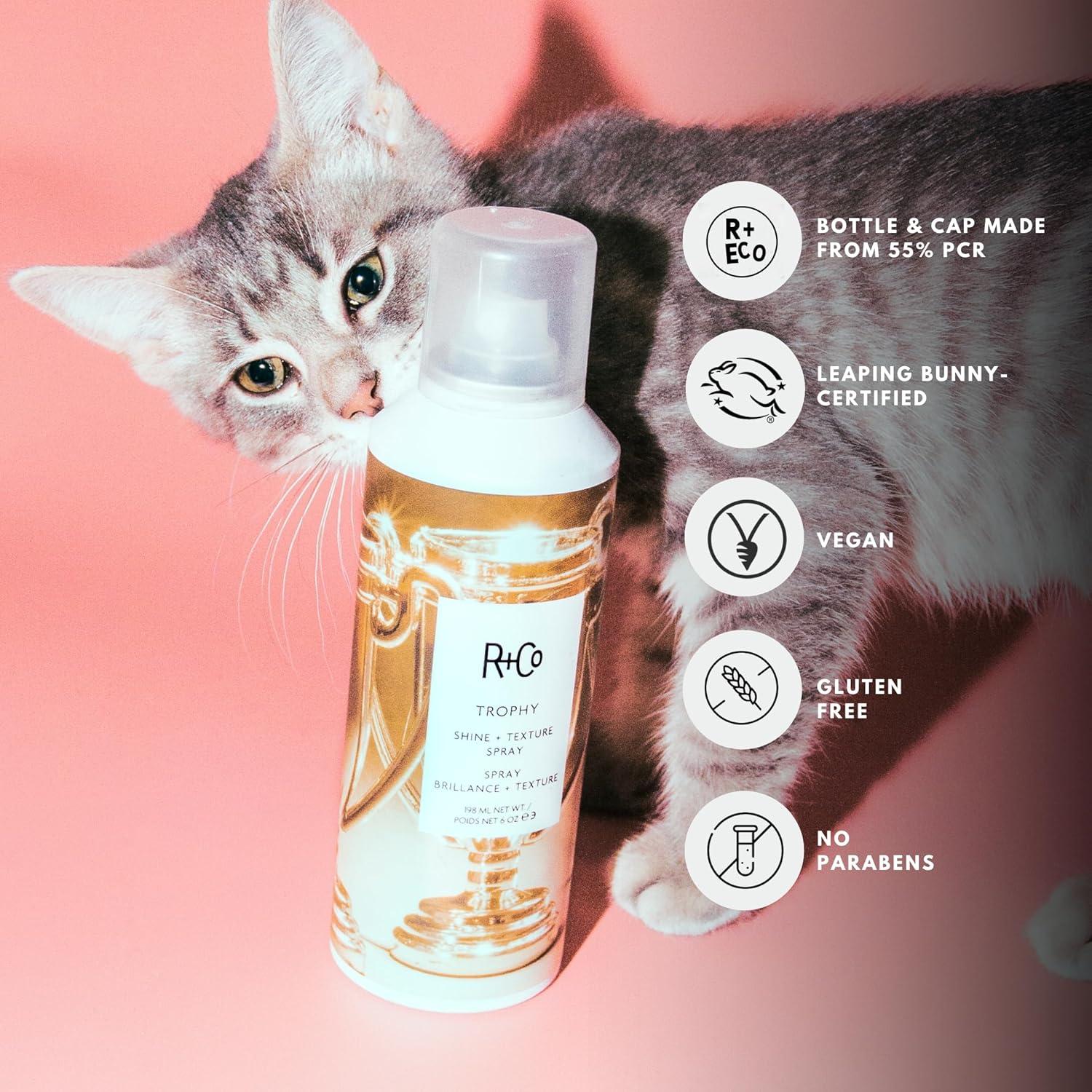 R+Co TROPHY Shine + Texture Spray – Hair Texturizing & Shine Spray, Adds Volume & Manageability, All Hair Types(6.0 Ounce (Pack of 1))