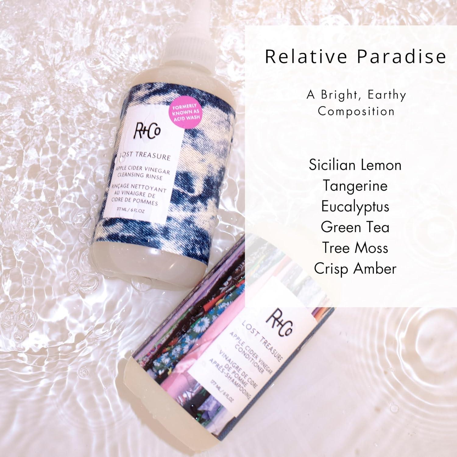R+Co Lost Treasure Apple Cider Vinegar Cleansing Rinse | Dramatic Shine + Softens Hair + Preserves Color | Vegan + Cruelty-Free | 6 Oz(6 Fl Oz (Pack of 1))