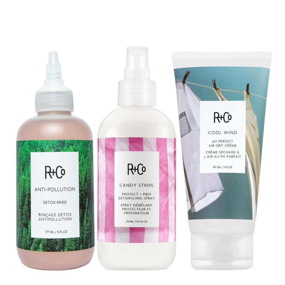 R+Co Anti-Pollution Detox Rinse | Removes Harsh Metals, Nourishes & Smooths Hair | Vegan + Cruelty-Free | 6 Oz(1 Pack)