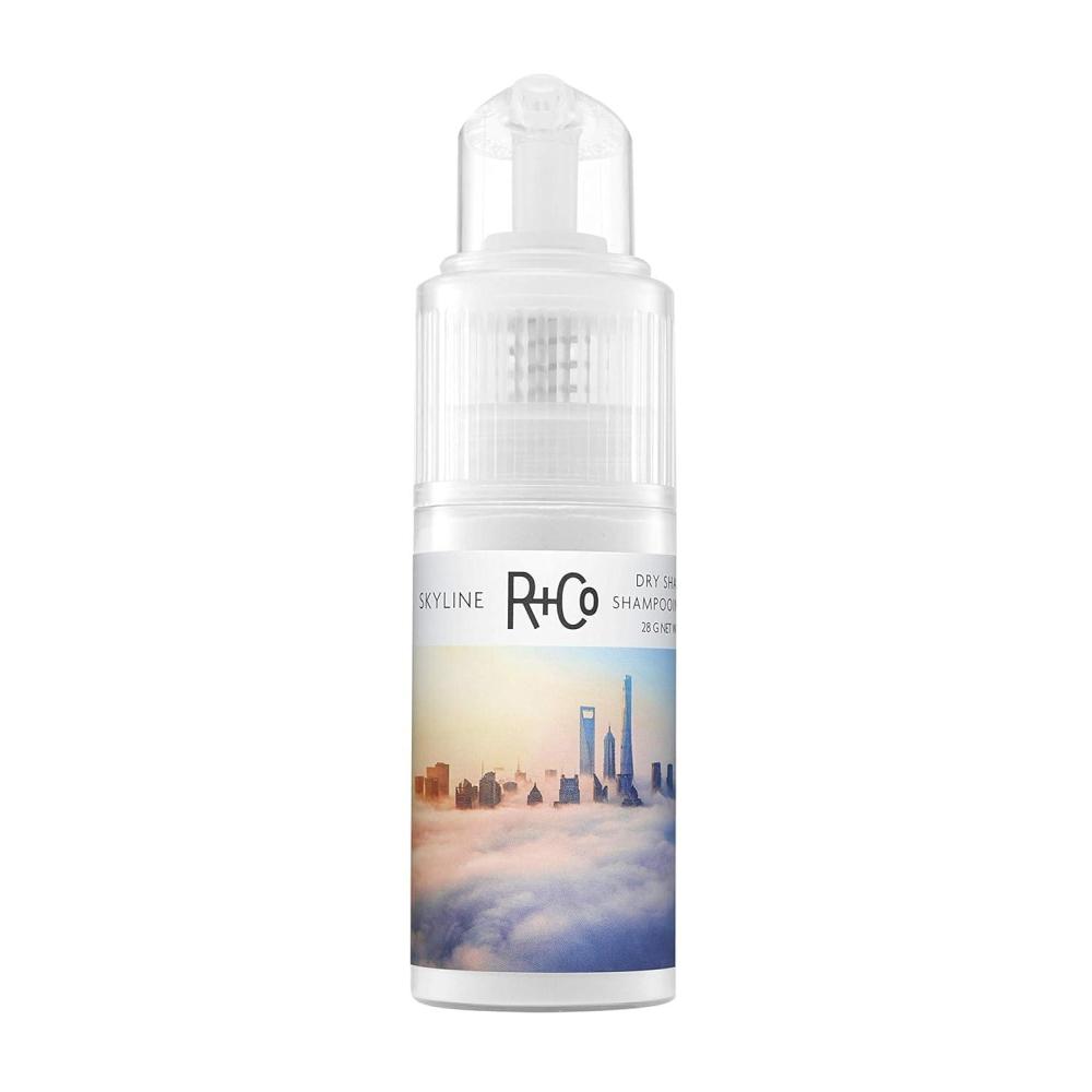 R+Co SKYLINE Dry Shampoo Powder – Oil-Absorbing & Volumizing Hair Powder, Refreshes Hair Between Washes, All Hair Types(1 Fl Oz (Pack of 1))