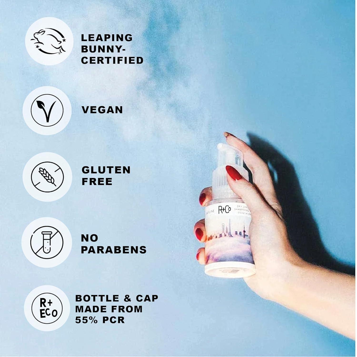 R+Co SKYLINE Dry Shampoo Powder – Oil-Absorbing & Volumizing Hair Powder, Refreshes Hair Between Washes, All Hair Types(1 Fl Oz (Pack of 1))