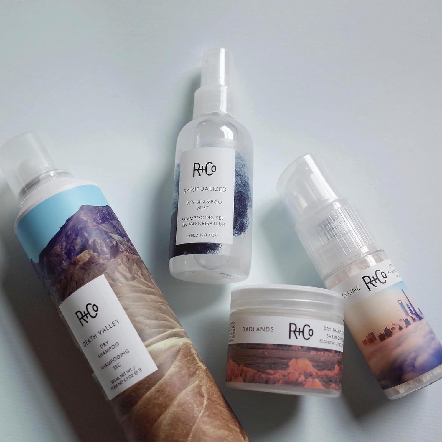 R+Co SKYLINE Dry Shampoo Powder – Oil-Absorbing & Volumizing Hair Powder, Refreshes Hair Between Washes, All Hair Types(1 Fl Oz (Pack of 1))
