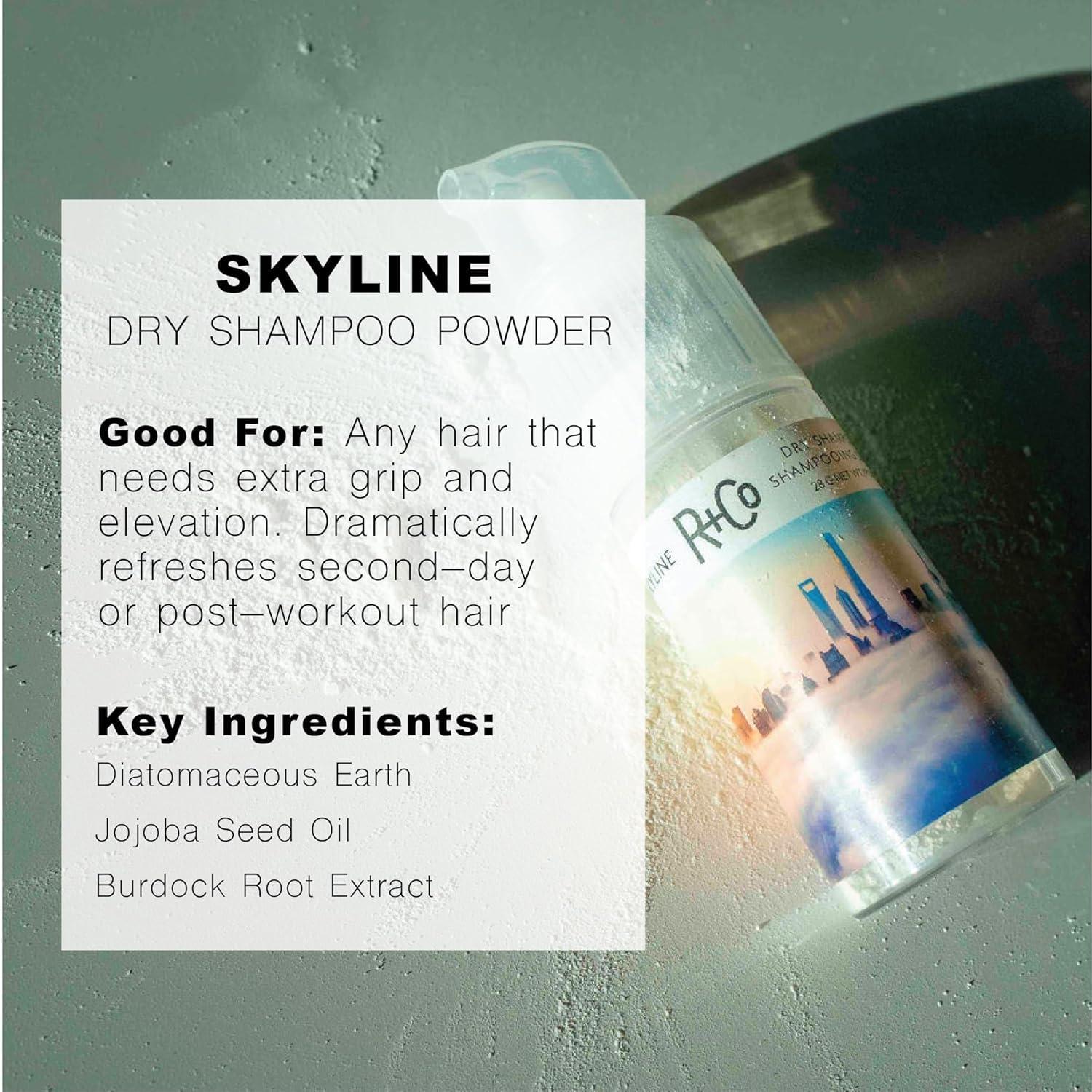 R+Co SKYLINE Dry Shampoo Powder – Oil-Absorbing & Volumizing Hair Powder, Refreshes Hair Between Washes, All Hair Types(1 Fl Oz (Pack of 1))