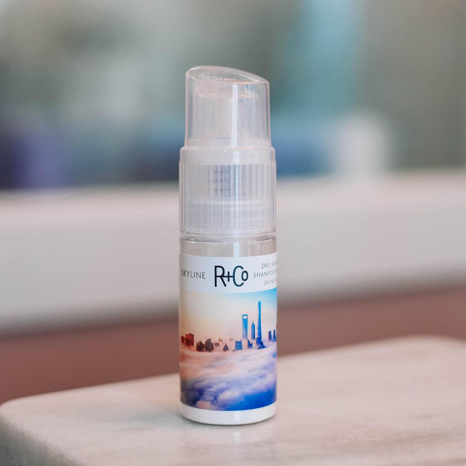 R+Co SKYLINE Dry Shampoo Powder – Oil-Absorbing & Volumizing Hair Powder, Refreshes Hair Between Washes, All Hair Types(1 Fl Oz (Pack of 1))