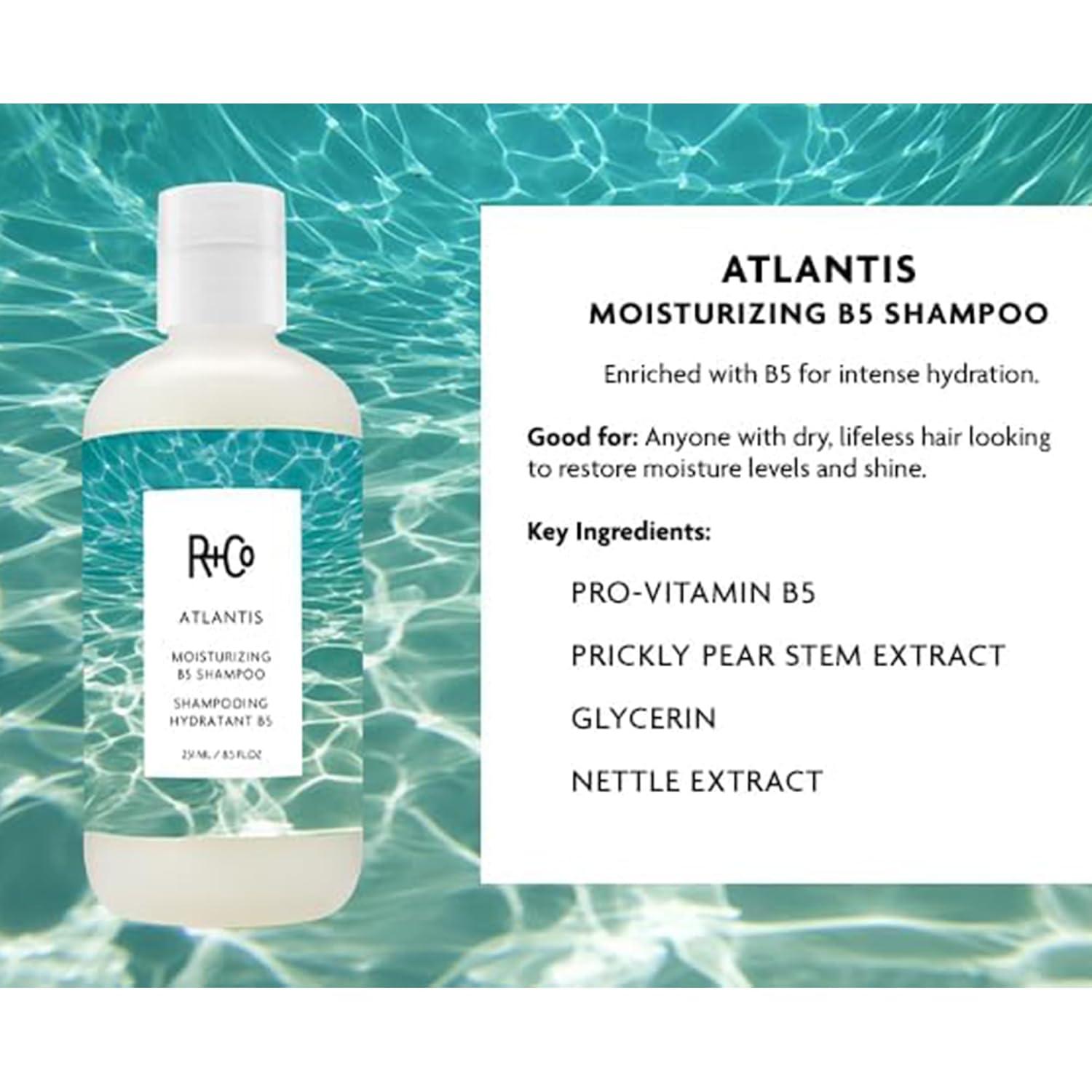 R+Co ATLANTIS Moisturizing B5 Shampoo – Hydrating & Strengthening, Softens & Smooths Hair, All Hair Types(8.5 Fl Oz (Pack of 1))