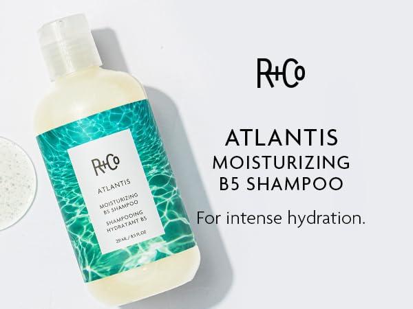 R+Co ATLANTIS Moisturizing B5 Shampoo – Hydrating & Strengthening, Softens & Smooths Hair, All Hair Types(8.5 Fl Oz (Pack of 1))