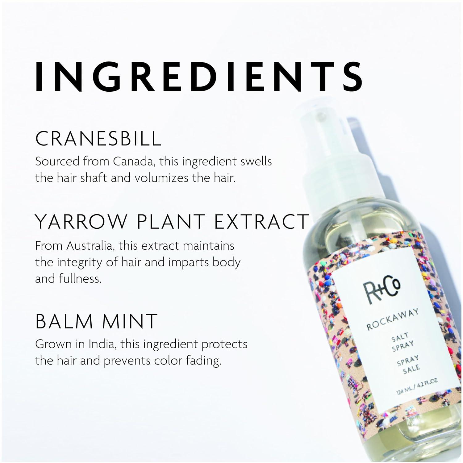 R+Co Rockaway Salt Spray, Adds Volume and Hair Texture(4.2 Fl Oz (Pack of 1))