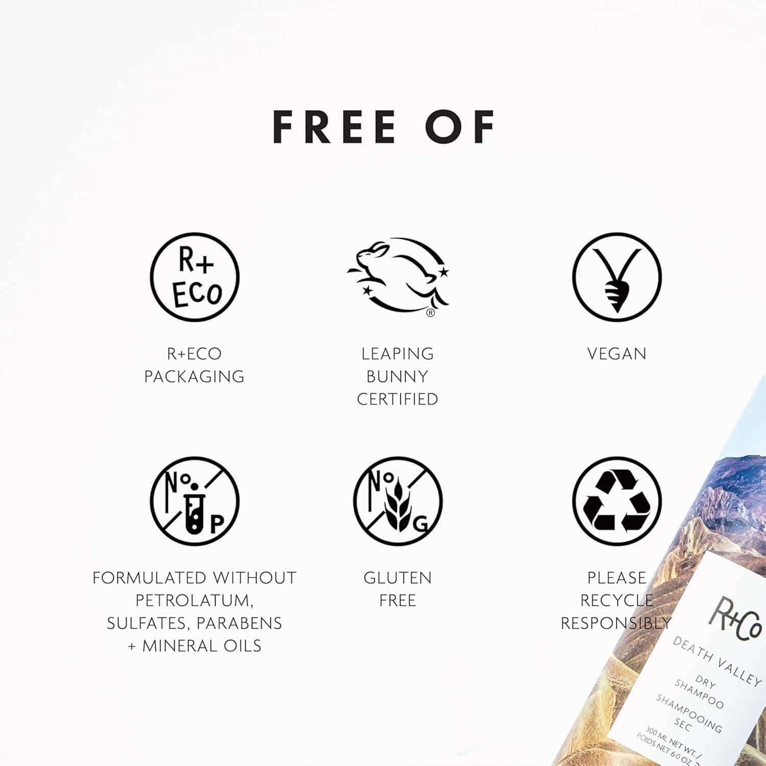 R+Co Death Valley Dry Shampoo For Women | Adds Volume & Body | Vegan, Gluten-Free & No Parabens |(6.3 Ounce (Pack of 1))