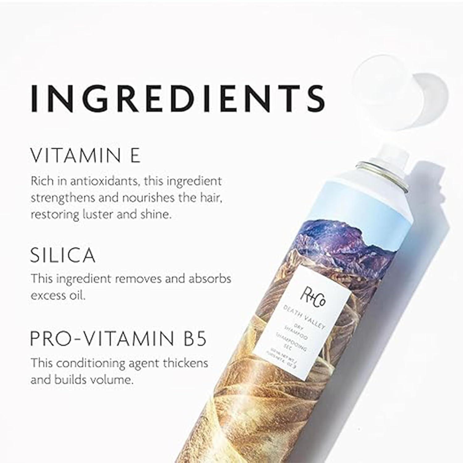 R+Co Death Valley Dry Shampoo For Women | Adds Volume & Body | Vegan, Gluten-Free & No Parabens |(6.3 Ounce (Pack of 1))
