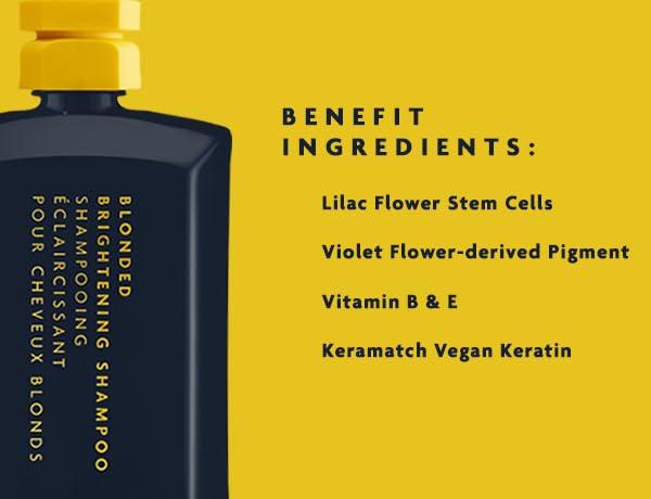 R+Co BLEU Blonded Brightening Shampoo – Neutralizes Yellow Tones, Deposits Pigments Evenly, Moisturizes, Repairs Color-Treated Hair, Antioxidant-Rich Formula, 8.5 oz